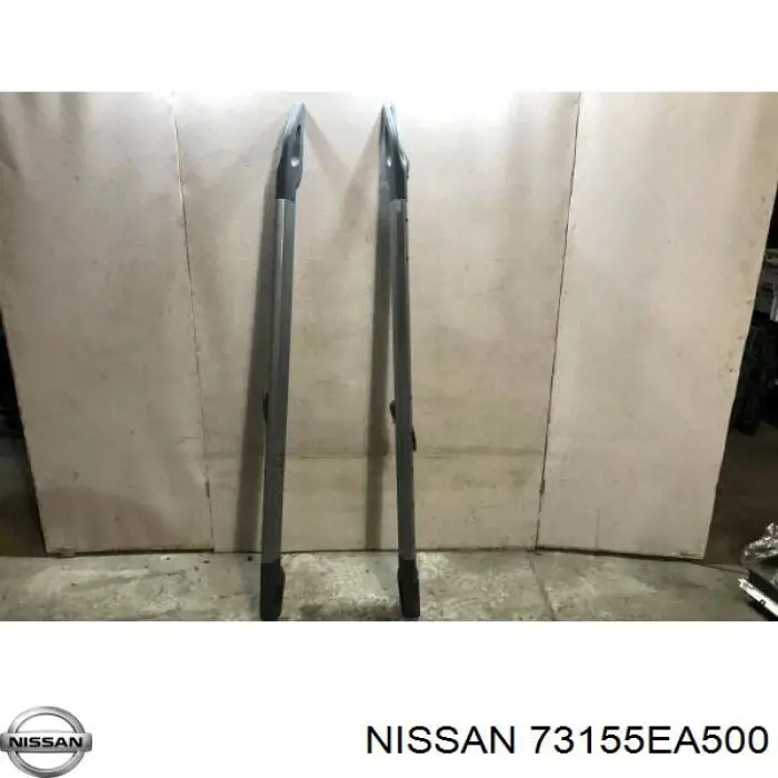 Рейлінг даху лівий Nissan/Infiniti 73155ZP40A ціна, від 28.03 USD