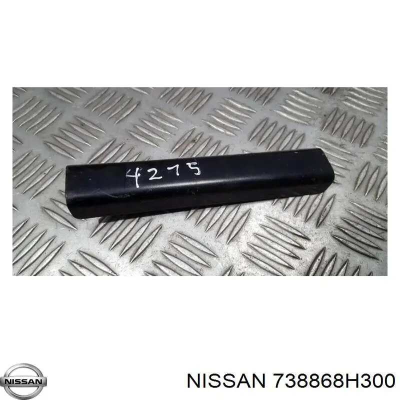 738868H300 Nissan/Infiniti 