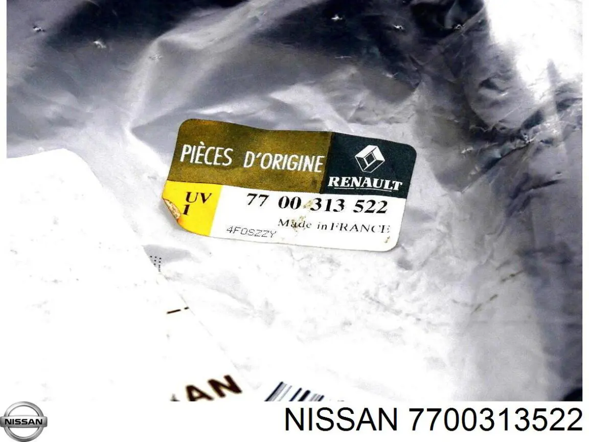 7700313522 Renault (RVI) 