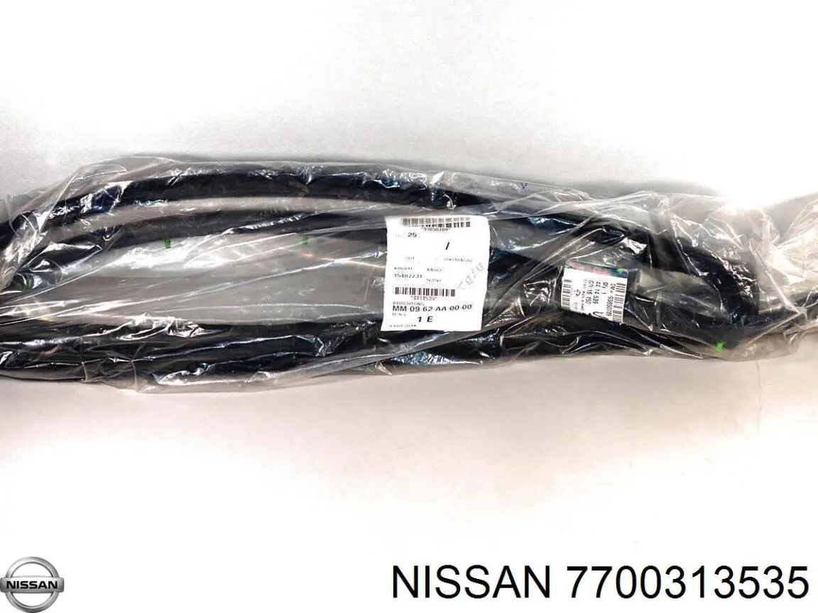 Купити 7700313535 Nissan/Infiniti 