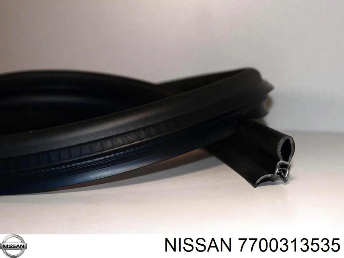  7700313535 Nissan/Infiniti
