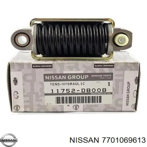 7701069613 Nissan/Infiniti Натяжна планка поліклинового ременя