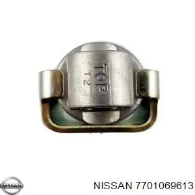 Купити 7701069613 Nissan/Infiniti Натягувач приводного ременя