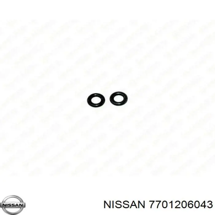 7701206043 Nissan/Infiniti Кільце інжектора