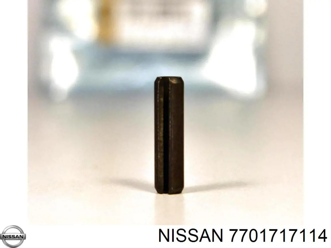 Купити 7701717114 Nissan/Infiniti 