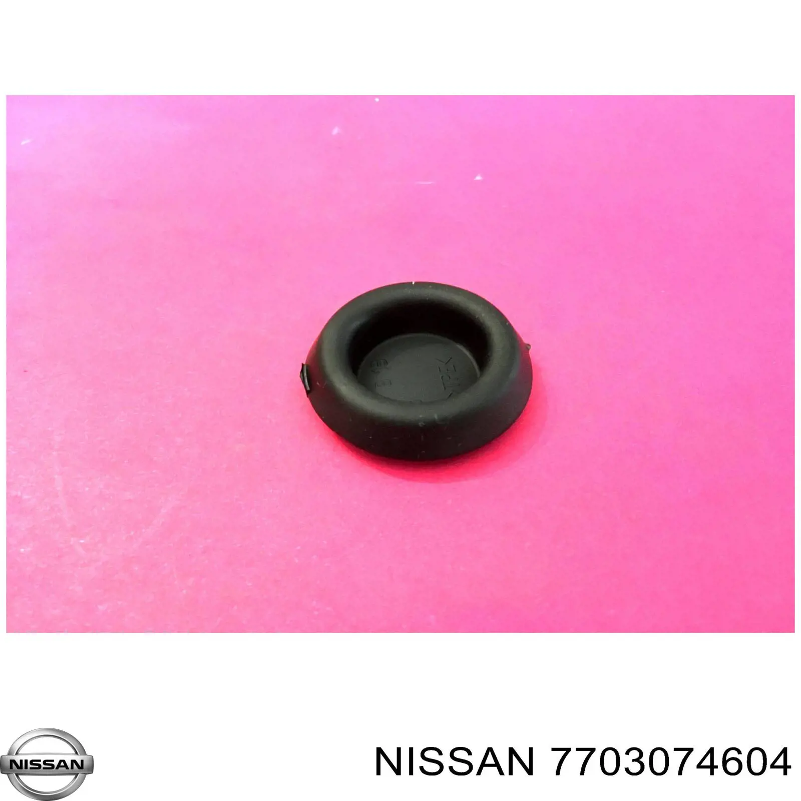  7703074604 Nissan