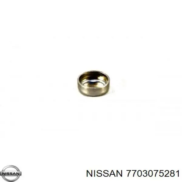 Заглушка блоку циліндрів 7703075281 Nissan/Infiniti