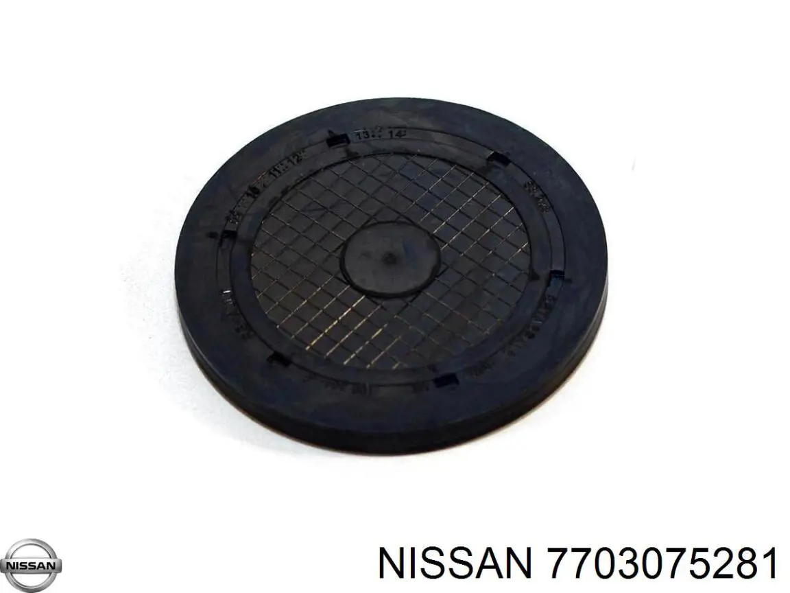 Купити 7703075281 Nissan/Infiniti Заглушка блоку циліндрів