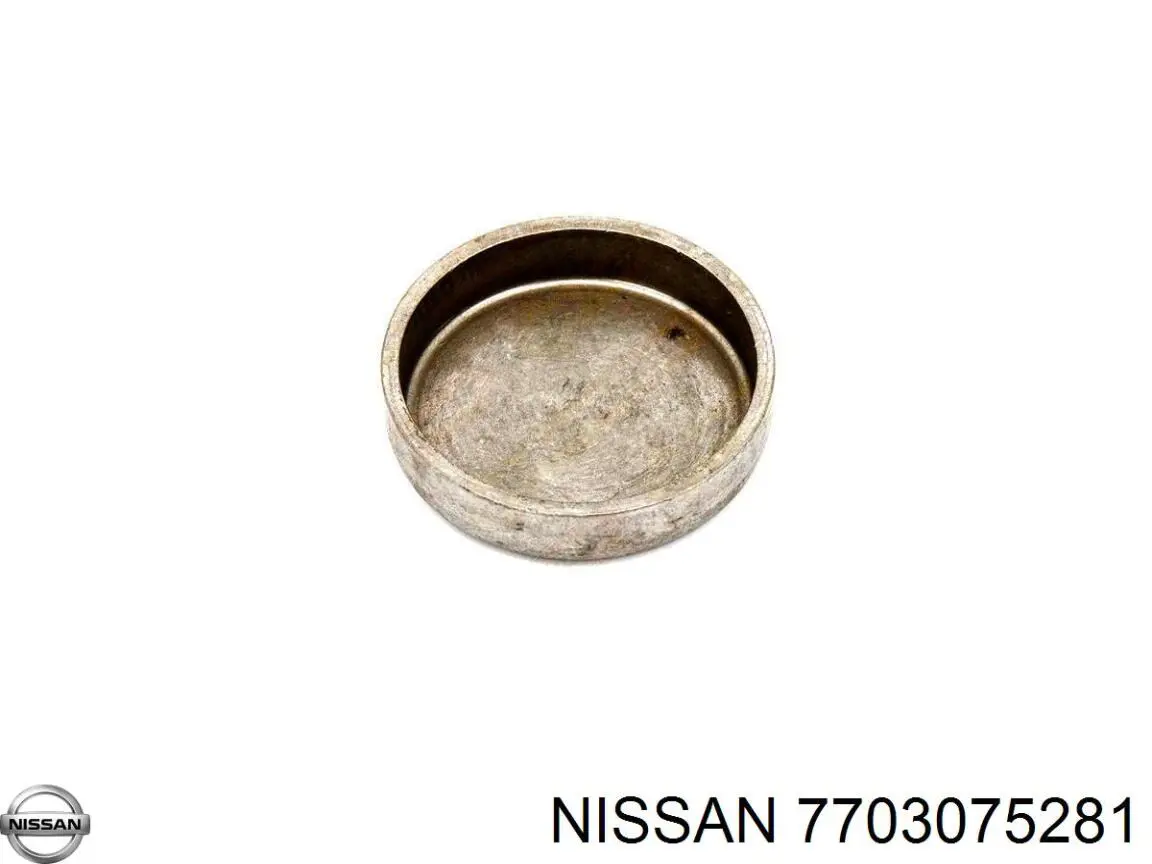 7703075281 Nissan/Infiniti Заглушка головки блока