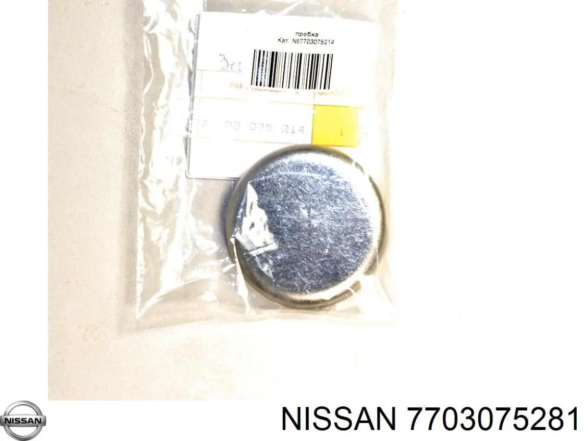Заглушка ГБЦ/блоку циліндрів Nissan/Infiniti 7703075281 ціна, від 1.40 USD