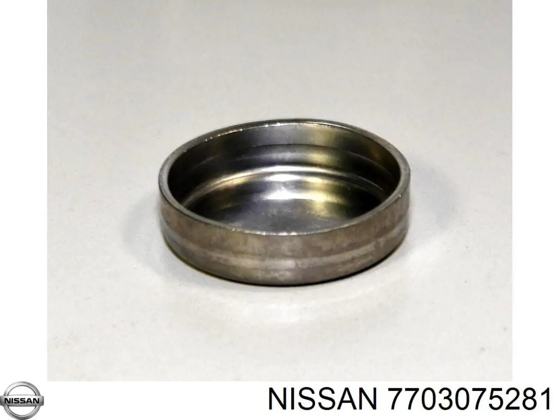 7703075281 Nissan/Infiniti Заглушка головки блока