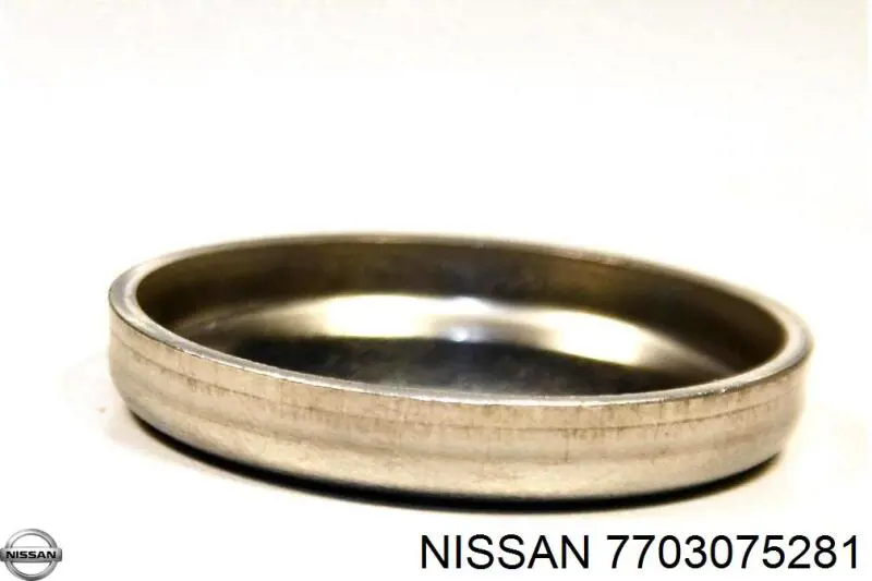 Заглушка ГБЦ/блоку циліндрів Nissan/Infiniti 7703075281 ціна, від 1.40 USD