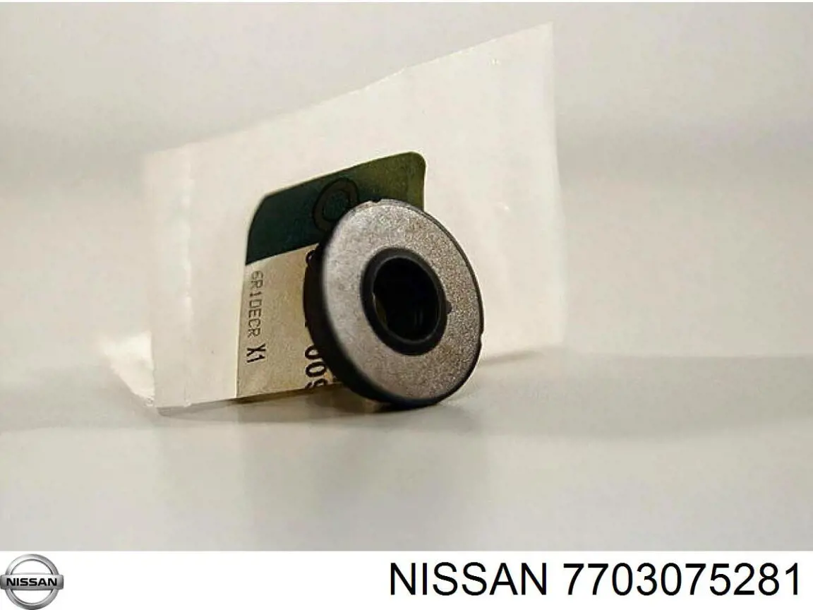 Купити 7703075281 Nissan/Infiniti Заглушка блоку циліндрів
