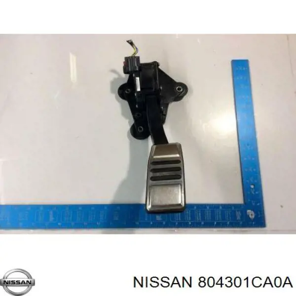 804301CA0A Nissan/Infiniti Обмежувач відкриття дверей, передній правий