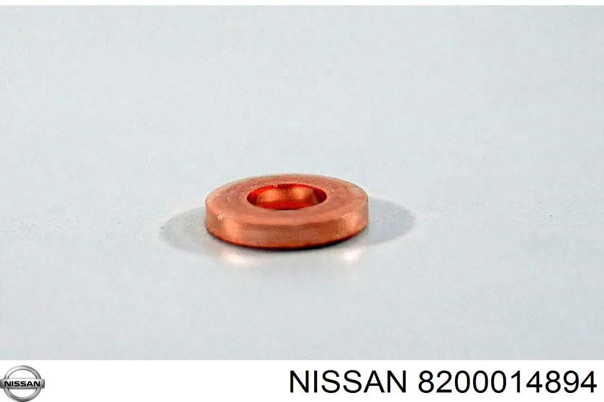  8200014894 Nissan