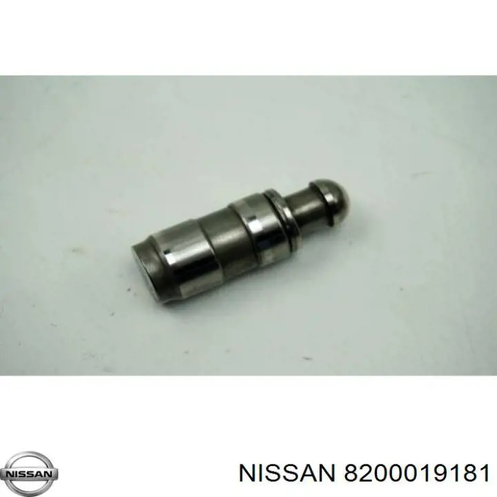 Розподільний вал двигуна впускний Nissan/Infiniti 8200019181