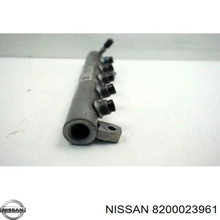 Паливна рампа Nissan/Infiniti 8200023961