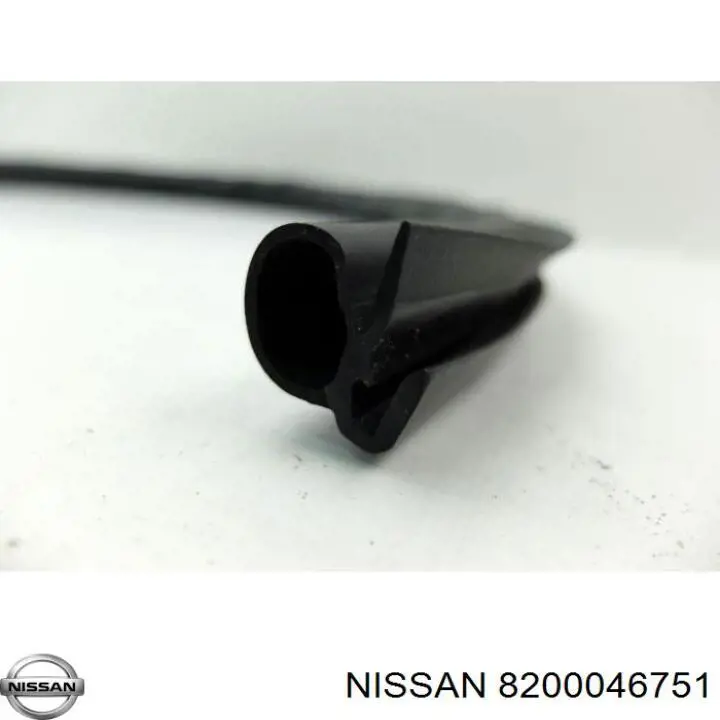 Купити 8200046751 Nissan/Infiniti Ущільнювач двері бічної/зсувної