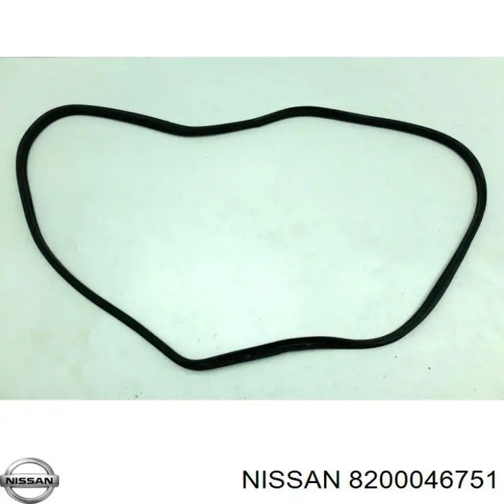 Купити 8200046751 Nissan/Infiniti Ущільнювач двері бічної/зсувної