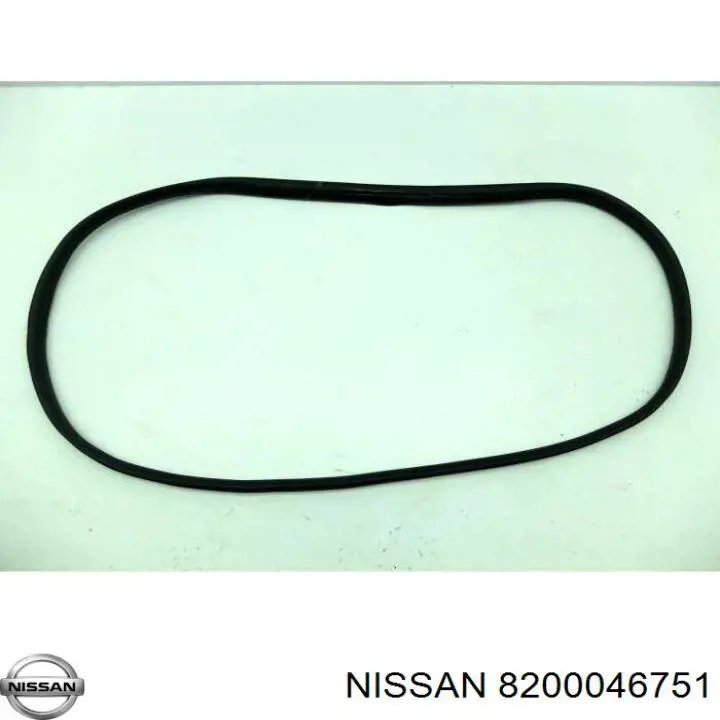Ущільнювач двері бічний/зсувний Nissan/Infiniti 8200046751 ціна, від 48.64 USD