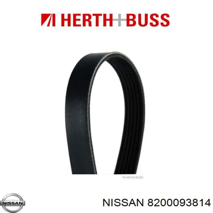 Клиновий ремінь Nissan/Infiniti 8200093814 ціна, від 12.86 USD
