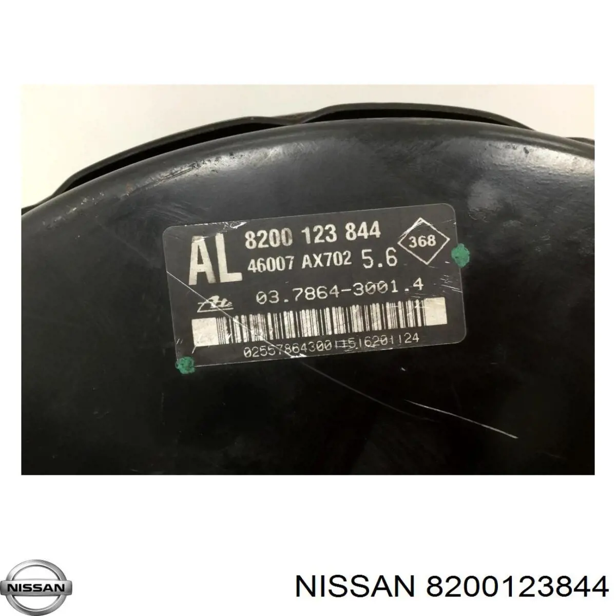  8200123844 Nissan/Infiniti