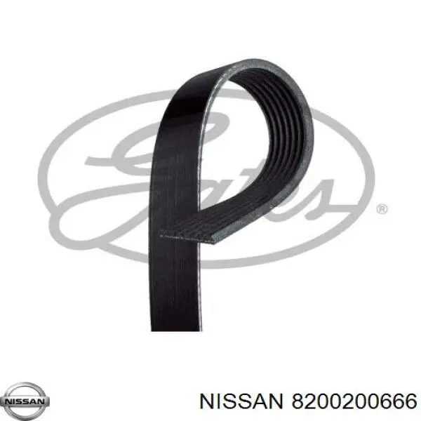 8200200666 Nissan ремінь приводний, агрегатів