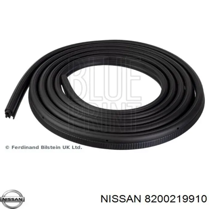 Купити 8200219910 Nissan/Infiniti Ущільнювач двері задньої (на кузові)