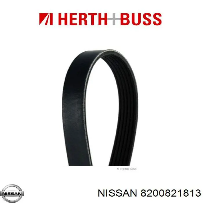 Ремінь генератора 8200821813 Nissan/Infiniti