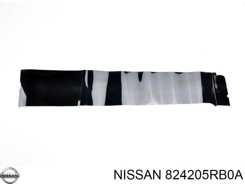 824205RB0A Nissan/Infiniti 