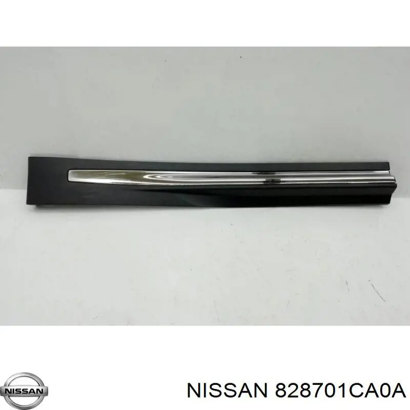 828701CA0A Nissan/Infiniti Накладка задніх правих дверей, нижня