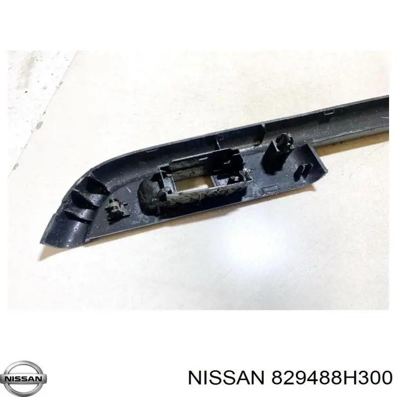  829488H300 Nissan