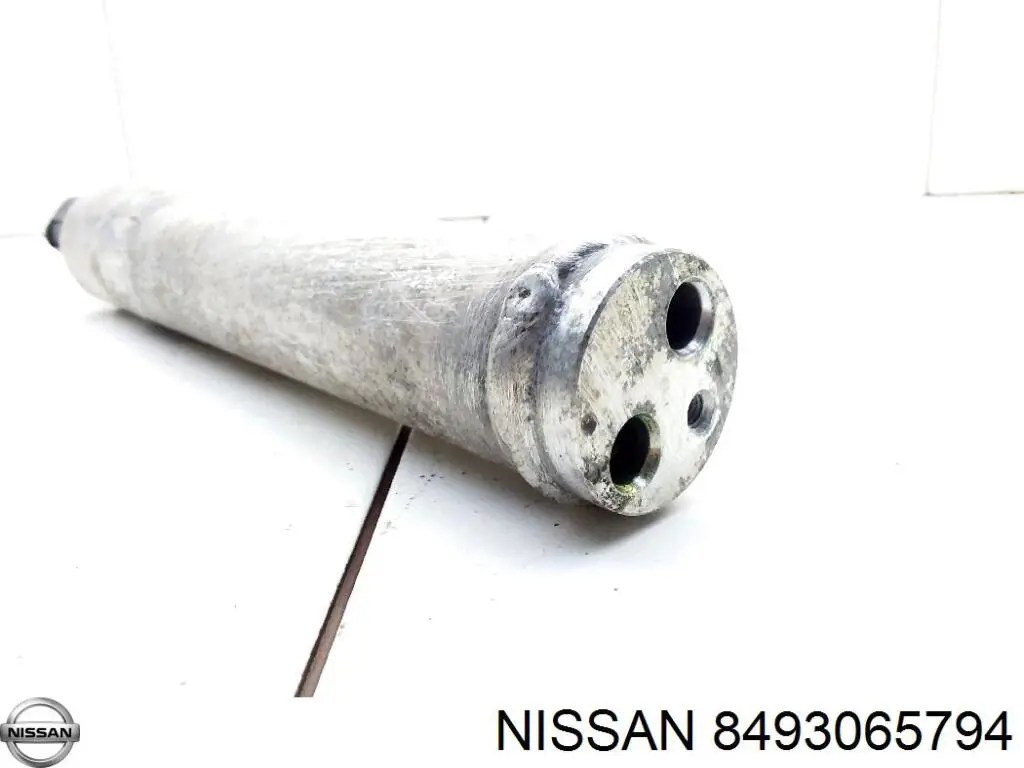  8493065794 Nissan