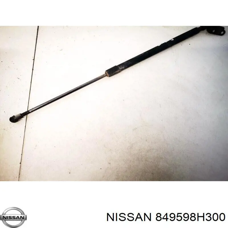 Купити 849598H300 Nissan/Infiniti 