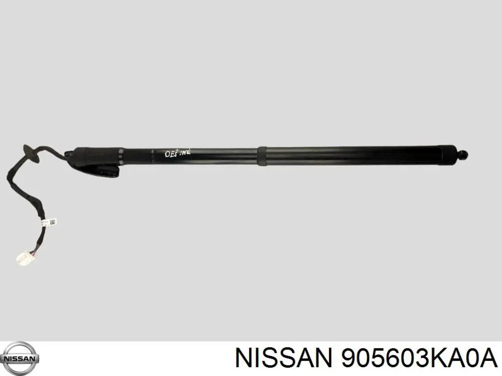AENS033 NTY 