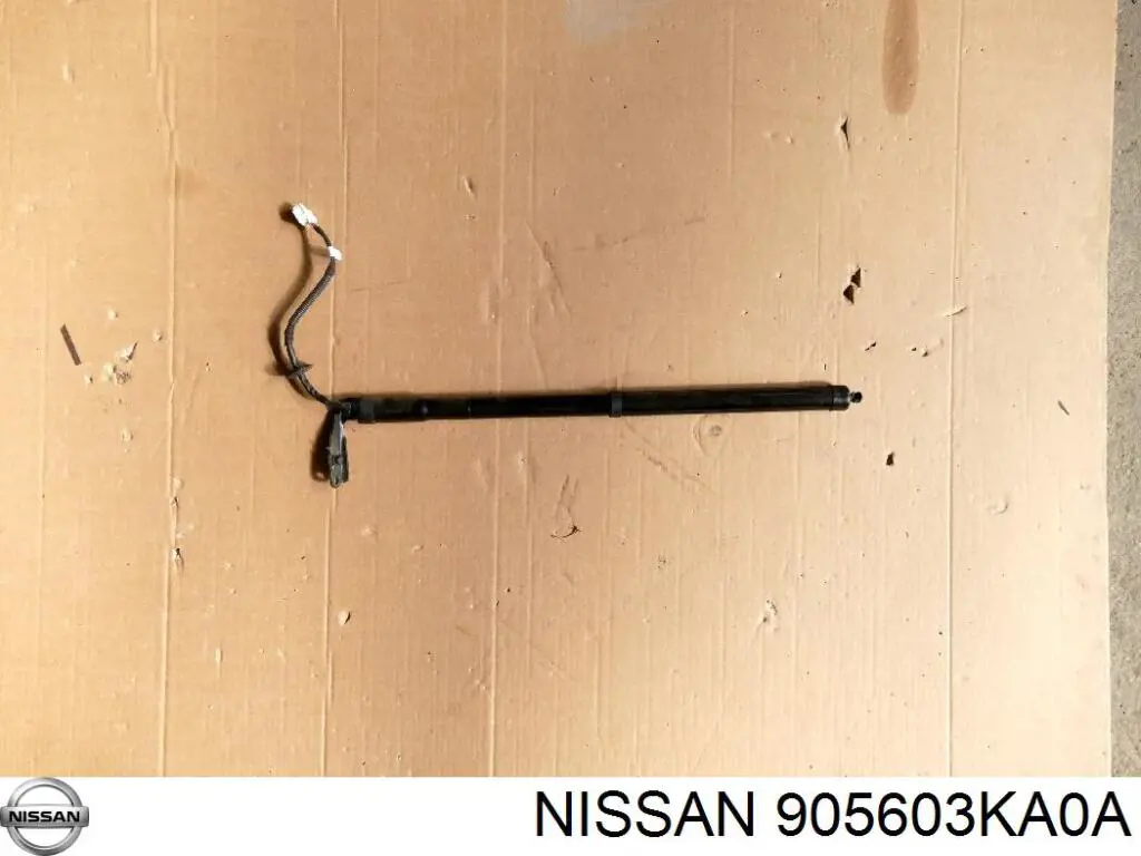  AENS033 NTY
