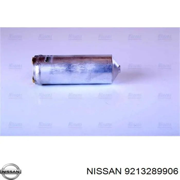  9213289906 Nissan