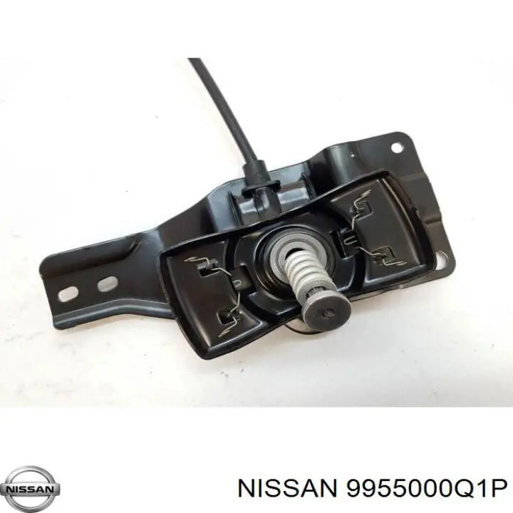 9955000Q1P Renault (RVI) 