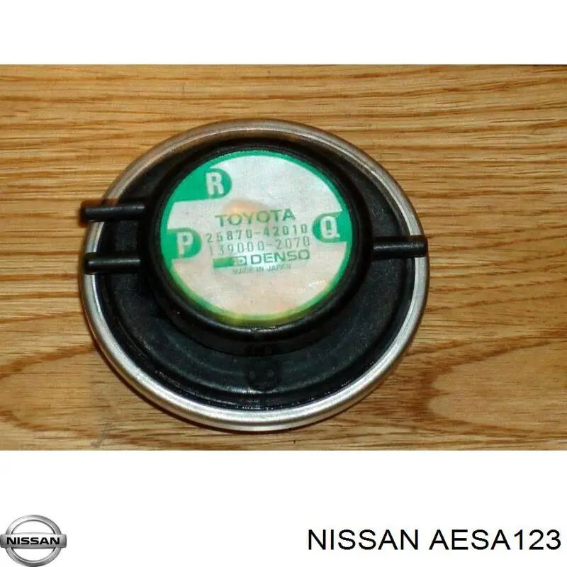  AESA123 Nissan