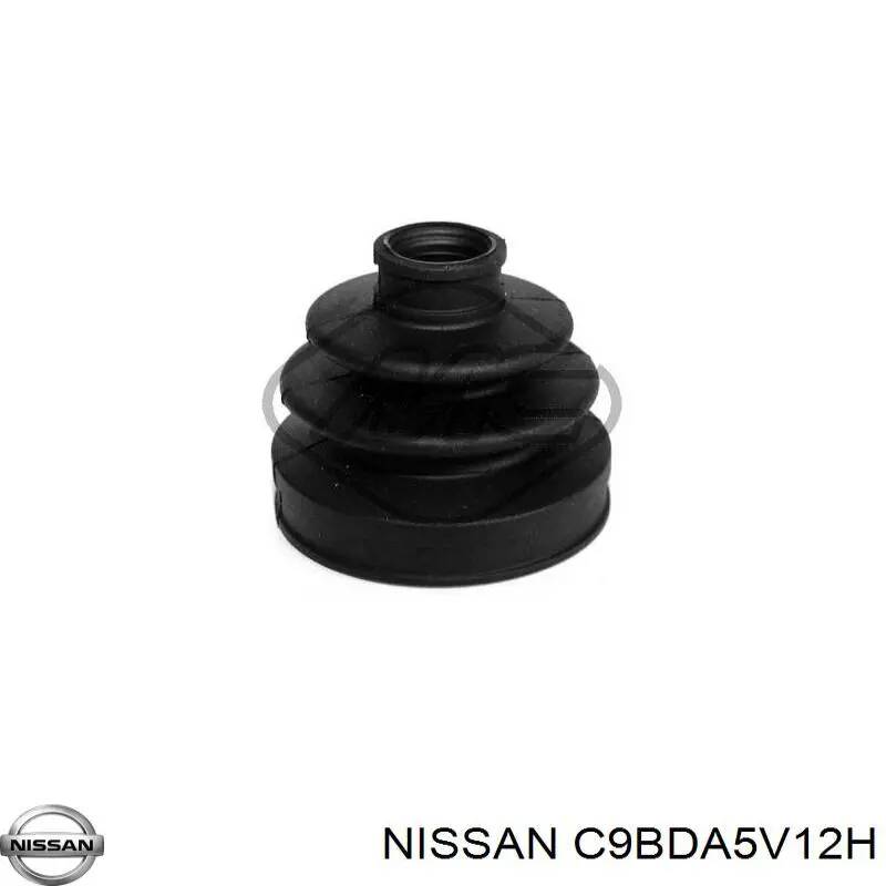 C9BDA5V12H Nissan/Infiniti 