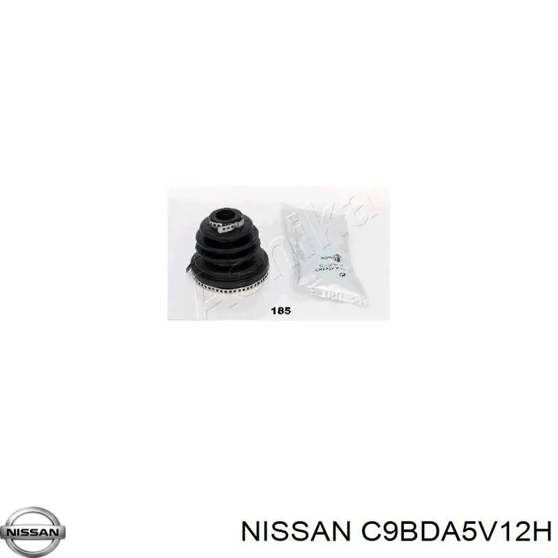 C9BDA5V12H Nissan/Infiniti