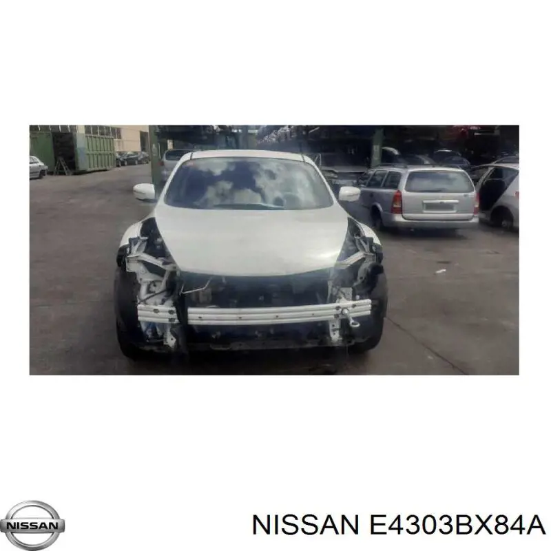 Амортизатор передньої підвіски, лівий Nissan/Infiniti E4303BX84A ціна, від 38.00 USD