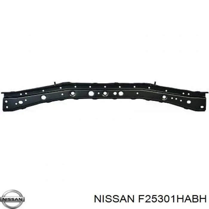 F25301HABH Nissan/Infiniti 