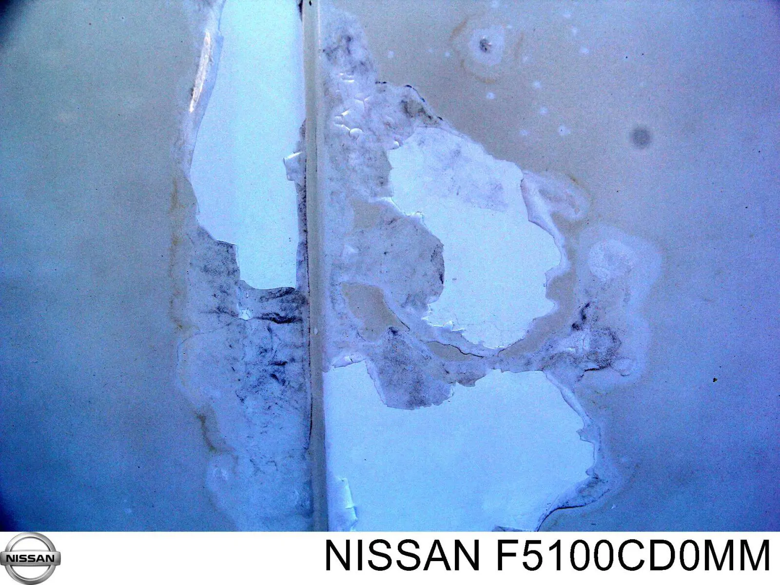 Капот Nissan/Infiniti F5100CD0MM ціна, від 240.71 USD
