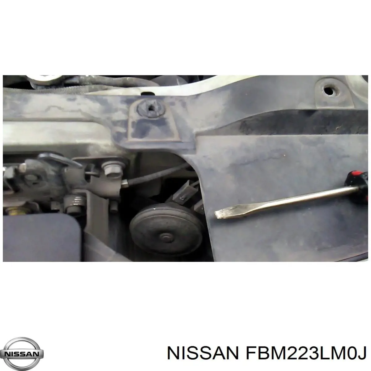  FBM223LM0J Nissan