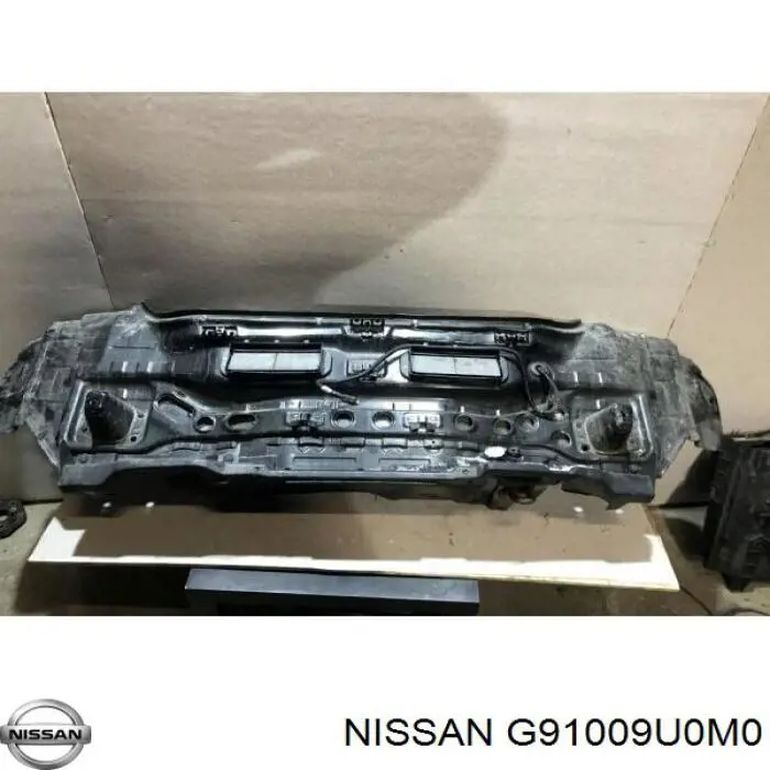 G91009U0MB Nissan панель задня, багажного відсіку