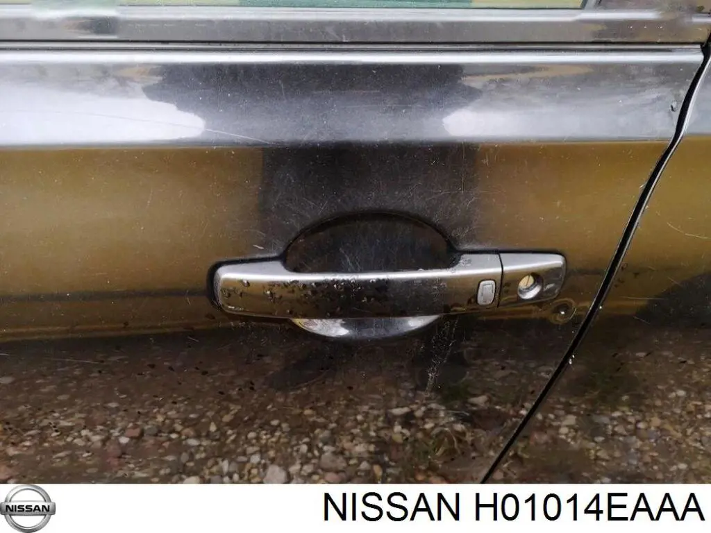 Двері передні, ліві Nissan Qashqai 2 (J11) (Нісан Кашкай)