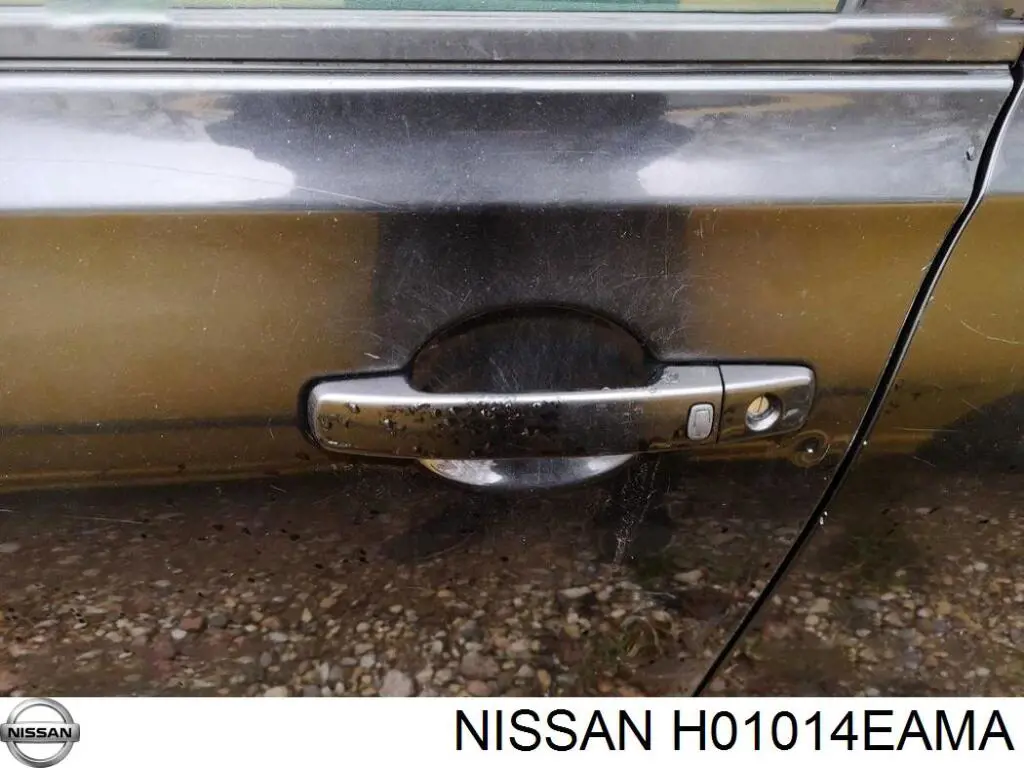 Двері передні, ліві Nissan/Infiniti H01014EAMA ціна, від 458.13 USD