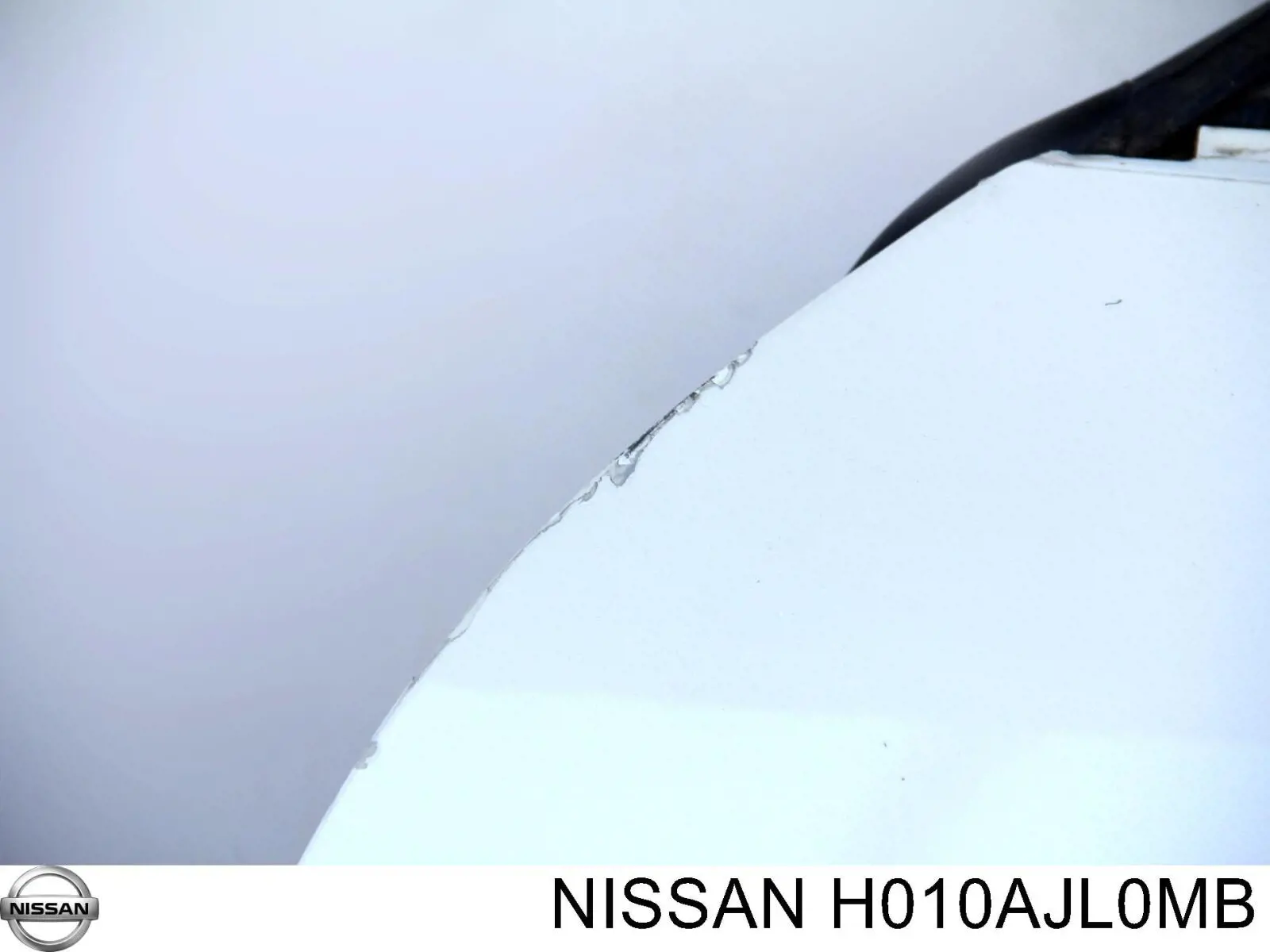 H010AJL0MB Nissan/Infiniti Дверь передня ліва
