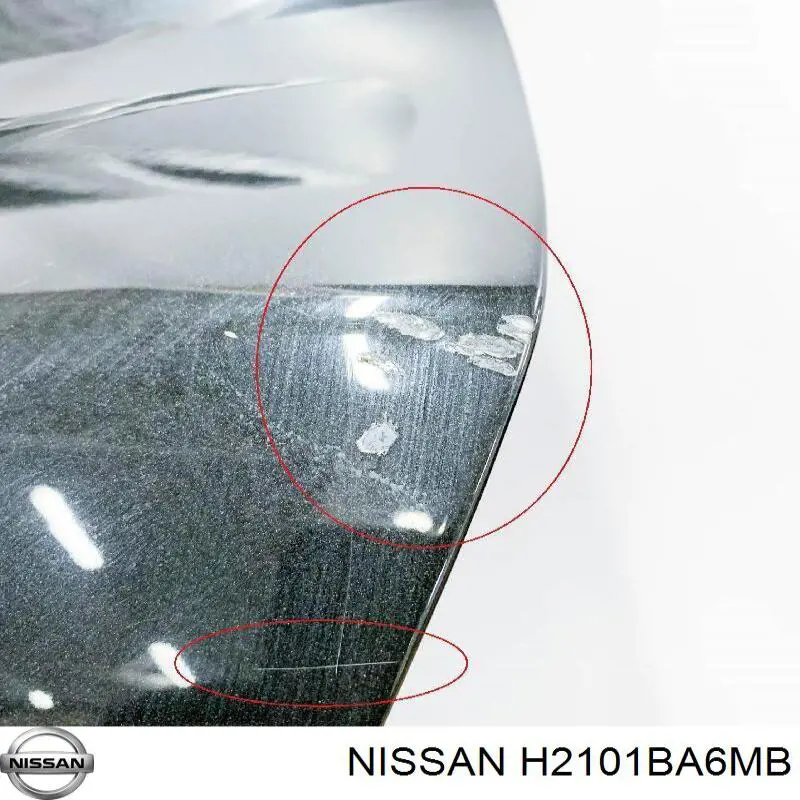 Купити H2101BA6MB Nissan/Infiniti Двері задні, ліві